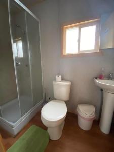 a bathroom with a toilet and a shower and a sink at Hostería Ensenada in Puerto Puyuhuapi
