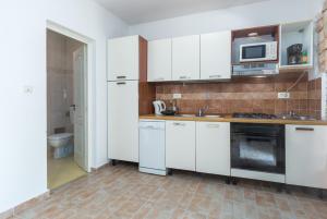 Kuchyň nebo kuchyňský kout v ubytování Holiday house with WiFi Rovinjsko Selo, Rovinj - 3431