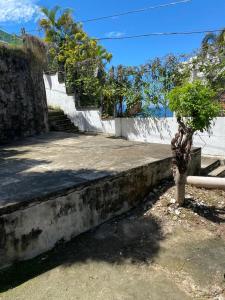 un pequeño árbol sentado al lado de una escalera de hormigón en HABITACIONES EN VALLARTA 6 CUADRAS MALECON en Puerto Vallarta