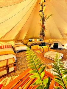 ClodockCAYORETREAT LUXURY BELL TENT的大型帐篷,配有沙发和植物