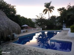 einen Pool in einem Resort mit einer Palme in der Unterkunft Hostal finca Palermo in Santa Fe de Antioquia
