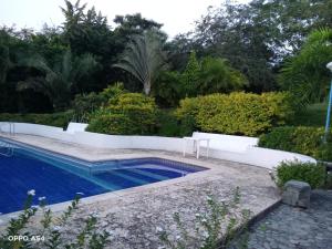 Bazén v ubytování Hostal finca Palermo nebo v jeho okolí + 21 fotografií