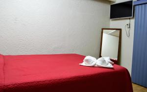 - une chambre avec un lit rouge et un miroir dans l'établissement Hotel Casa Genesis, à Oaxaca