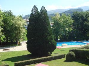 a large pine tree next to a swimming pool at Hotel Baztan in Garzáin