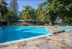 a swimming pool in a resort with palm trees at Batu Feringgi Homestay in Batu Ferringhi
