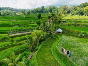 a group of people standing in a green field at Bukit Senaru Homestay in Senaru