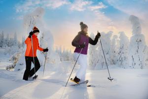 Fotografie z fotogalerie ubytování Ukkohalla Sky Cabin Glass Suite v destinaci Hyrynsalmi