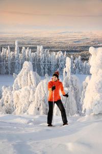 Fotografie z fotogalerie ubytování Ukkohalla Sky Cabin Glass Suite v destinaci Hyrynsalmi