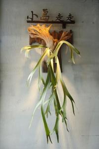 小琉球岛小岛，走走的相册照片