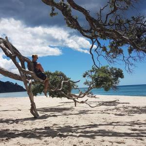 a man sitting in a tree on the beach at Beach Break Cabin - short walk to beach and cafes in Waihi Beach