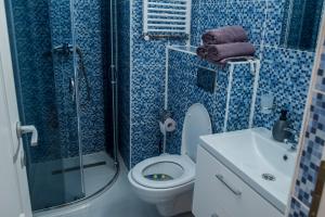 a blue tiled bathroom with a toilet and a shower at Casa Flavius in Văliug +46 photos