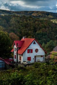 a white house with a red roof on a hill at Casa Flavius in Văliug