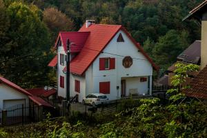 Gallery image of Casa Flavius in Văliug