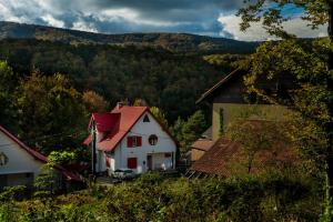 a white house with a red roof on a hill at Casa Flavius in Văliug