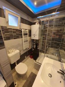 Kúpeľňa v ubytovaní Belvárosi Exkluzív Loft + 10 fotografií