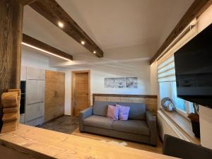 TV a/nebo společenská místnost v ubytování Inn-Apartments