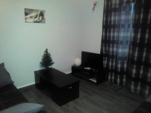 ein Wohnzimmer mit einem Weihnachtsbaum und einer Couch in der Unterkunft Appartement Chez Pascaline in Saint-Jean-Pied-de-Port