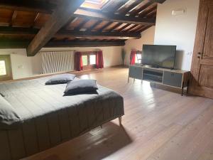 een slaapkamer met een bed en een flatscreen-tv bij Albaspina BioAgriturismo in Monticello Conte Otto
