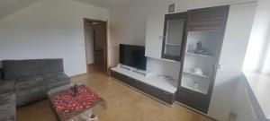 ein Wohnzimmer mit Couch und Fernseher in der Unterkunft Ferienwohnung zwischen Rhein und Schwarzwald in Bischweier