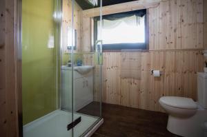 a bathroom with a shower and a toilet and a sink at Worms Head - Safari Tent - Llangennith in Llangennith