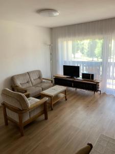 ein Wohnzimmer mit einem Sofa und einem TV in der Unterkunft Black Forest in Herrischried