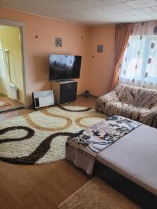a living room with a bed and a couch and a flat screen tv at Vila la Izvorul Putinei in Haţeg