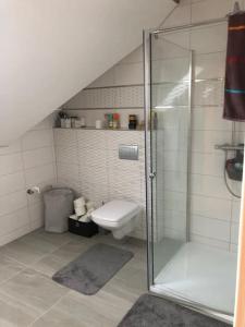 a bathroom with a shower and a toilet at Vila se zahradou a s parkováním v ceně in Jablonec nad Nisou