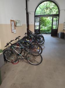 Jazda na bicykli v okolí ubytovania Central Design Apartment