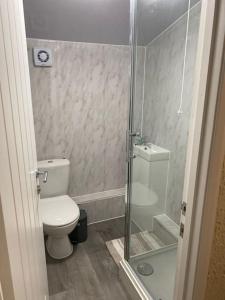 a bathroom with a toilet and a glass shower at Dorcas Lodge - Lovely 5 Bedroom home with free parking and Wi-Fi in Nevendon