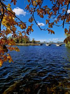 a view of a river with a bridge in the background at Apartament Retro Promenada in Ełk