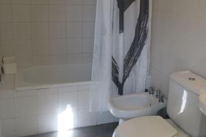 y baño con aseo, lavabo y ducha. en Spacious house with garden, La Plata center. en La Plata