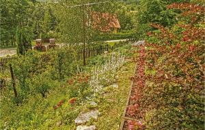a garden filled with lots of plants and flowers at Gorgeous Home In Mucharz With Sauna in Mucharz