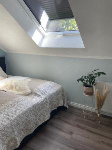 ein Schlafzimmer mit einem Bett und einem Dachfenster in der Unterkunft Neue Ferienwohnung im alten Forsthaus in Rüdesheim am Rhein