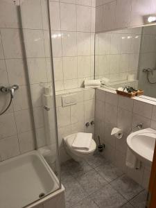 a bathroom with a shower and a toilet and a sink at Haus Sommerhof in Sindelfingen