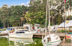 a group of boats docked in a marina at 2 Bedroom Beautiful Home In Lubniewice in Lubniewice +9 photos
