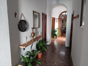 un pasillo con plantas y un espejo en la pared en CASA DOROTEO, en Cardeña