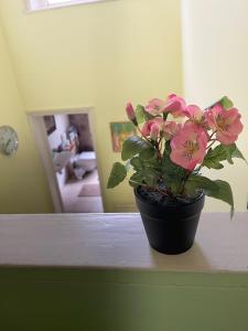 una maceta de flores rosas sentadas en un mostrador en Kensington flat with roof terrace and sunshine, en Londres