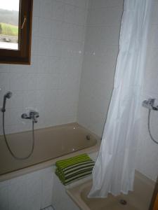 een badkamer met een bad en een douche met een douchegordijn bij Jüttis in Wimbach