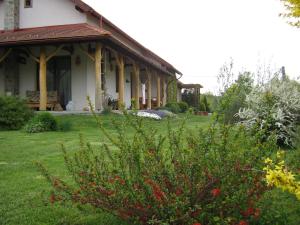 una casa con un patio verde con un arbusto en Patakparti Apartman, en Bozsok