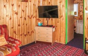 Televízia a/alebo spoločenská miestnosť v ubytovaní Holiday Home Ostróda Rus Mala