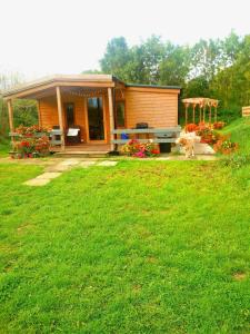 a dog sitting in front of a tiny house at Beautiful Wooden tiny house, Glamping cabin with hot tub 2 in Tuxford