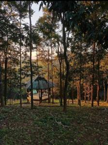 een tuinhuisje met een groene parasol in een park bij Tafelberg detached bungalow with swimming pool in Chiang Rai