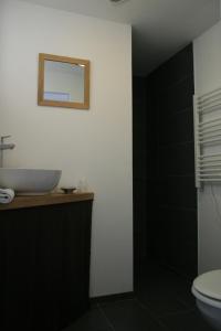 La salle de bains est pourvue d'un lavabo et d'un miroir. dans l'établissement Hôtel Restaurant du Pêcheur, à Lavoûte-Chilhac