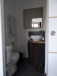 La salle de bains est pourvue de toilettes, d'un lavabo et d'un miroir. dans l'établissement Hôtel Restaurant du Pêcheur, à Lavoûte-Chilhac