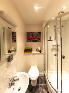 a bathroom with a toilet and a shower and a sink at Belfast Apartment in Belfast