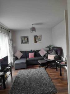 a living room with a blue couch and pink pillows at Belfast Apartment in Belfast