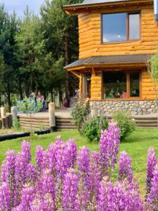 a garden with purple flowers in front of a cabin at Cinco Sentidos Hosteria in Lago Meliquina
