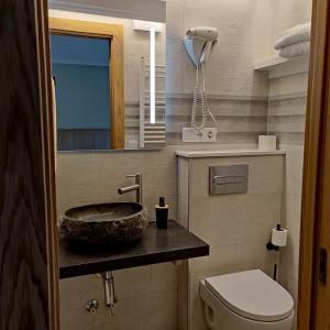 a bathroom with a sink and a toilet and a mirror at Treselcorral in Sotres