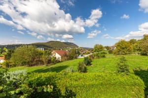 Príroda v okolí horskej chaty