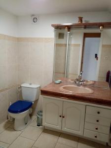 a bathroom with a toilet and a sink and a mirror at Chambre calme en correze in Sainte-Fortunade